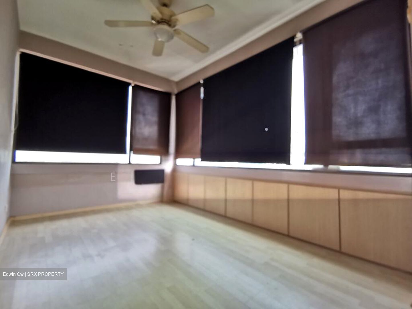 Odeon Katong Shopping Complex (D15), Apartment #503952421